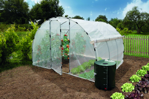 Que faire dans sa serre de jardin en novembre : travaux et cultures possibles ?